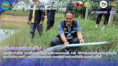 สหกรณ์จังหวัดบุรีรัมย์ ... พารามิเตอร์รูปภาพ 1